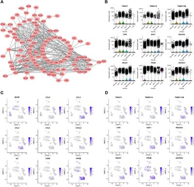 Single-Cell Transcriptome Profiling Signatures and Alterations of Microglia Associated With Glioblastoma Associate Microglia Contribution to Tumor Formation